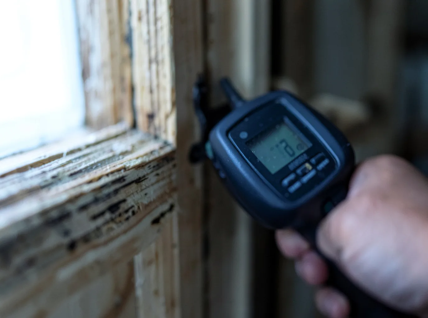 Moisture Inspection And Documentation in De Pere, WI